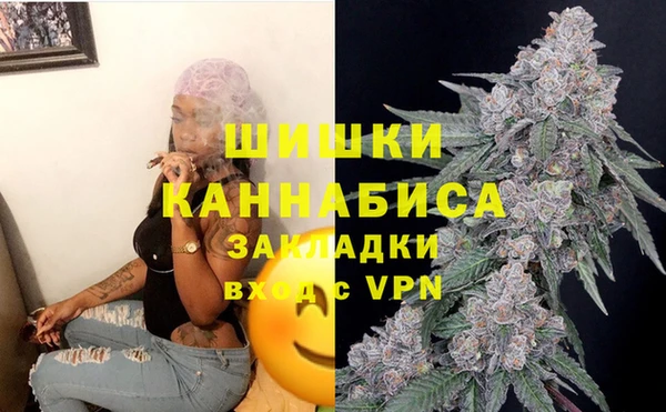 ПСИЛОЦИБИНОВЫЕ ГРИБЫ Покров