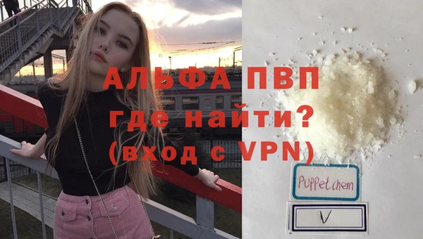 ПСИЛОЦИБИНОВЫЕ ГРИБЫ Покров
