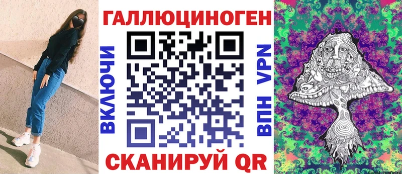 Псилоцибиновые грибы Psilocybe  Урус-Мартан 