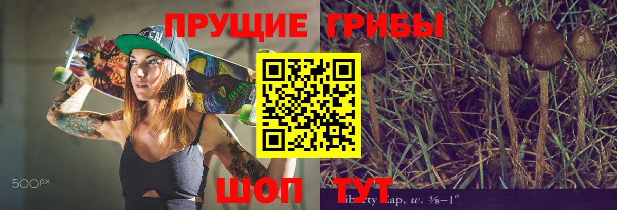 Урус-Мартан  как найти закладки  Вход с VPN  Галлюциногенные грибы Psilocybine cubensis  Псилоцибиновые грибы мицелий 