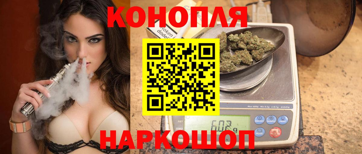 Конопля сатива Урус-Мартан